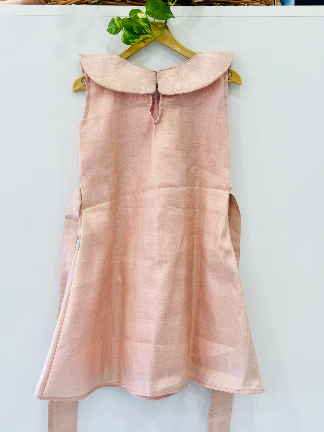 golden-kasav-tissue-pan-collar-dress-online-back